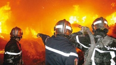 Photo of Incendies : Extinction de 76 feux de forêt dans 15 wilayas durant les dernières 24 h