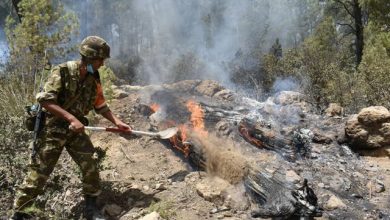 Photo of Incendies: 18 combattants de l’ANP décédés