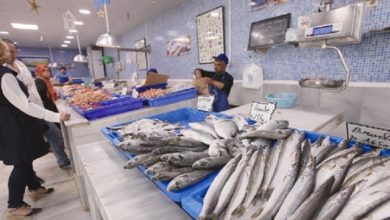 Photo of Pêche : Création de 3 marchés de gros pour poissons et produits halieutiques