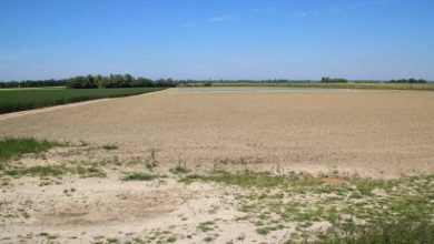 Photo of Agriculture: le gouvernement veut régulariser les terres « Arch » sur la base du droit de concession