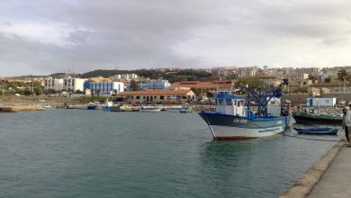 Photo of Transport: prochaine ouverture de la ligne maritime Alger-Tipaza