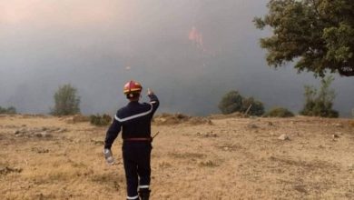 Photo of Incendies de forêts: un dispositif opérationnel de mobilisation générale et d’alerte maximale