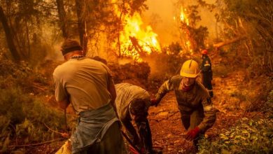 Photo of Les feux de forêt ont fait 37 morts, selon le dernier bilan