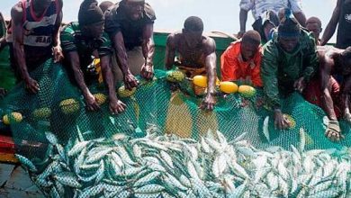 Photo of Un protocole algéro-mauritanien dans le domaine de la pêche et de l’économie maritime