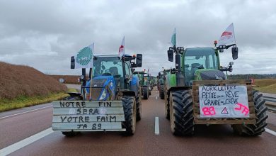 Photo of La France calme la colère des agriculteurs avec une série de mesures «  protectrices »