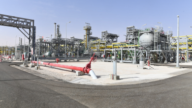 Photo of Nadir Larbaoui inaugure le Centre de production de gaz de Hassi Ba Hamou (Timimoun)