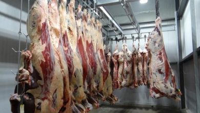 Photo of Vers l’importation de 100 000 tonnes de viande rouge durant le Ramadan