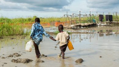 Photo of L’Afrique a besoin de 2 500 milliards de dollars pour lutter contre le changement climatique d’ici 2030