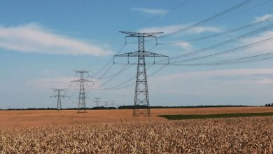 Photo of Sonelgaz va raccorder 65.000 exploitations agricoles au réseau électrique